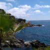 Yevheniia Nazarik na praktykach w Hiszpanii realizuje PROGRAM ERASMUS+ w hotelu Alba Seleqtta, Lloret de Mar 17.06.2016-15.09.2016